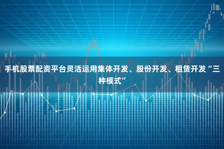 手机股票配资平台灵活运用集体开发、股份开发、租赁开发“三种模式”
