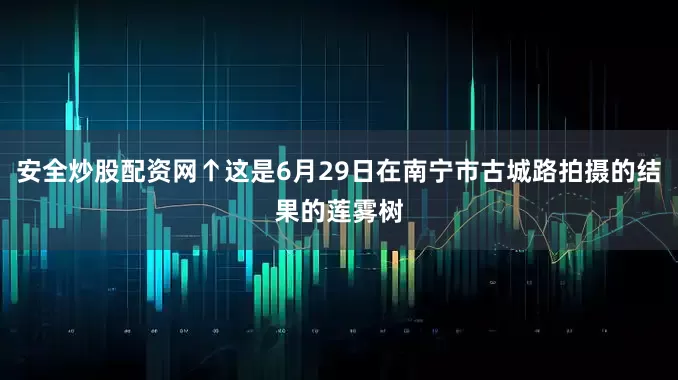 安全炒股配资网↑这是6月29日在南宁市古城路拍摄的结果的莲雾树