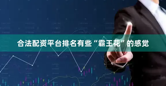 合法配资平台排名有些“霸王花”的感觉