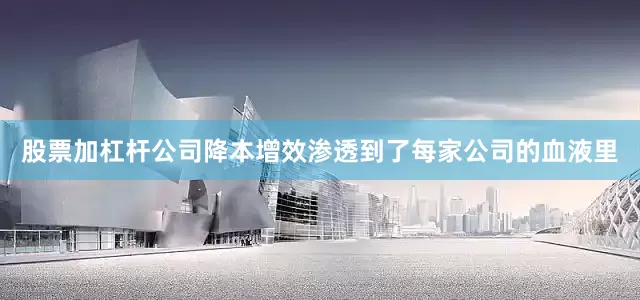 股票加杠杆公司降本增效渗透到了每家公司的血液里