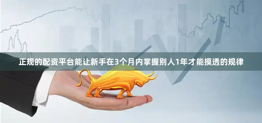 正规的配资平台能让新手在3个月内掌握别人1年才能摸透的规律